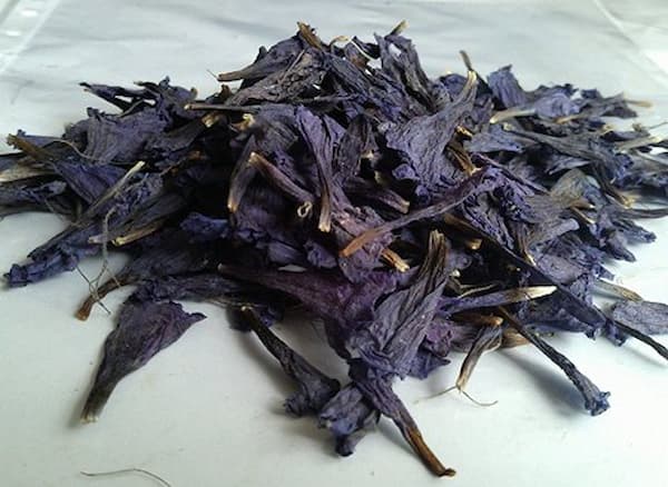 تصویر 1 از فروش گل گاو زبان خشک + قیمت خرید به صرفه